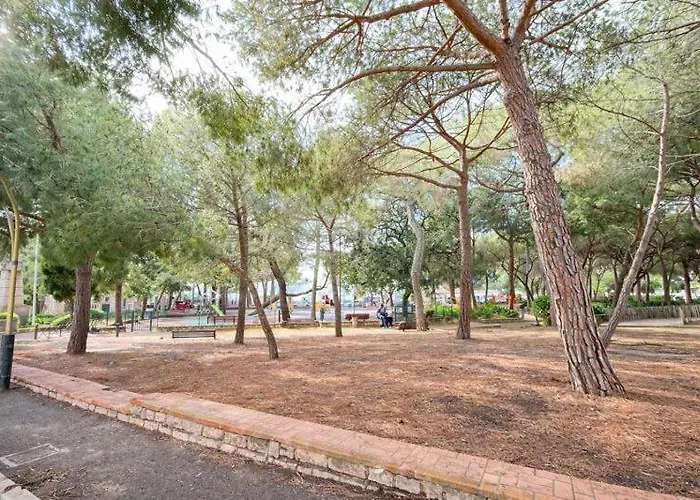 Les Terrasses De La Pinede, T3, 4p, & Pinede